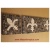 Fleur De Liz, Mosaic Tile Listello Corner