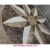 Santa Barbara, 36" Waterjet Medallion