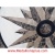 Star Light, HONED 48" Stone Floor Medallion