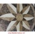 Santa Barbara, 36" Waterjet Medallion